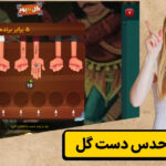 روش های حدس دست گل